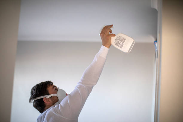 Best Emergency Mold Removal  in Alderson, WV